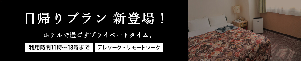 日帰りプラン